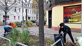 Fleißig befreiten die Anwohnenden die Baumscheiben von Müll und Laub. (Bild: QM Beusselstraße)