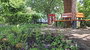 Eine umlaufende Bank um einen Baum in grüner Umgebung. Im Vordergrund ein bepflanztes Beet, im Hintergrund eine rote Telefonzelle.