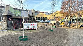Junge, neu gepflanzte Bäume stehen auf einem Spielplatz. 
