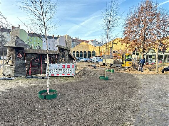 Junge, neu gepflanzte Bäume stehen auf einem Spielplatz. 