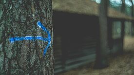 Mehr Durchblick im Kiez: Ein neues Projekt sorgt für bessere Orientierung im Quartier Boulevard Kastanienallee. (Bild: Pexels/ Markus Spiske)