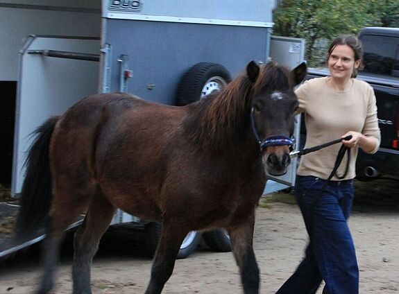 Neue Ponys für den Kinderbauernhof Waslala. Bild: QM Kosmosviertel