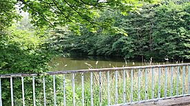 Hinter einem Zaun befindet sich das Rückhaltebecken.