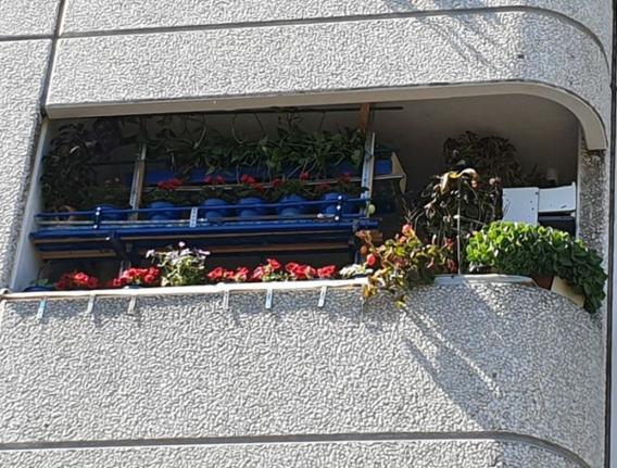 Mit Wettbewerben fördern die Quartiere die vielen grünen Daumen in der Nachbarschaft. Bild: QM High-Deck-Siedlung/ Sonnenallee Süd W+P GmbH 
