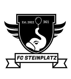 FC Steinplatz: Kicken für die Mannschaft und das Kiezimage – ein Aktionsfondsprojekt (Bild: FC Steinplatz)