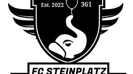 FC Steinplatz: Kicken für die Mannschaft und das Kiezimage – ein Aktionsfondsprojekt (Bild: FC Steinplatz)