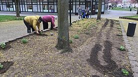 Das Quartier Hellersdorfer Promenade blüht auf. (Foto: Anja Mocker)