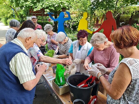 Vor dem „mittendrin“ konnten die Kiezbewohnerinnen- und bewohner Samen und Pflänzchen in Töpfe oder umfunktionierte Tetrapacks einsetzen, um sie für den eigenen Balkon oder Garten mitzunehmen. (Bild: QM High-Deck-Siedlung / Sonnenallee Süd)