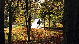 Herbststimmung im Quartier. Bild: Oliver Stallwood