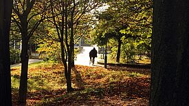 Herbststimmung im Quartier. Bild: Oliver Stallwood