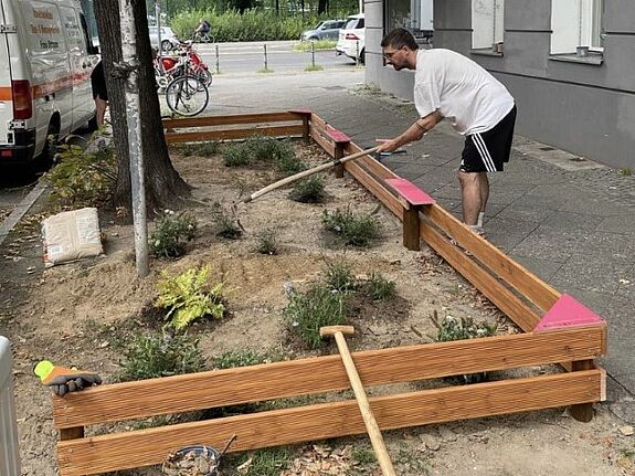 Baumscheiben dürfen im Bezirk Mitte jederzeit eigenständig bepflanzt werden, zu den Bedingungen und Vorgaben gibt es Informationen beim Straßen- und Grünflächenamt des Bezirks. (Bild: QM Pankstraße)