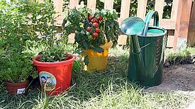 Fünf kleine Gartenprojekte unterstützt die Aktionsfondsjury des QM Pankstraße im Frühling und Sommer 2021. Bild: Dominique Hensel