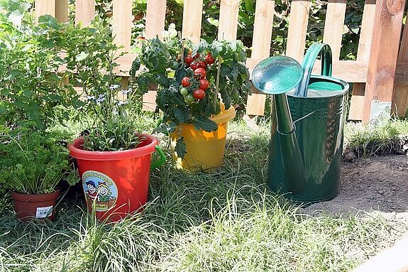 Fünf kleine Gartenprojekte unterstützt die Aktionsfondsjury des QM Pankstraße im Frühling und Sommer 2021. Bild: Dominique Hensel