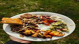 Ein bunter Mix aus vegetarischen und veganen Speisen wurde aufgetischt. (Bild: QM Dammwegsiedlung/Weiße Siedlung W+P GmbH)