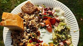 Ein bunter Mix aus vegetarischen und veganen Speisen wurde aufgetischt. (Bild: QM Dammwegsiedlung/Weiße Siedlung W+P GmbH)
