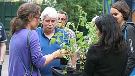 Die Mitglieder des Quartiersrats erhalten zum Dank für Ihr Engagement eine besondere Tomatenpflanze Foto: Andrei Schnell