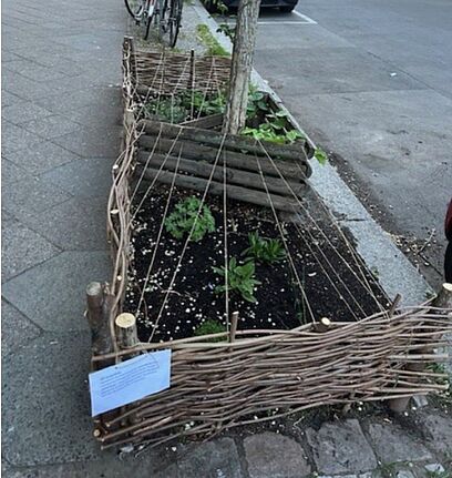 Eine Baumscheibe mit Gemüse und Sträuchern in einem Weidenflechtzaun an der Rosegger-/Weserstraße im QM-Gebiet Harzer Straße.