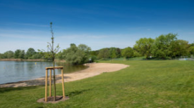 Die neue Badestelle am Spektesee. Bild: R. Salecker