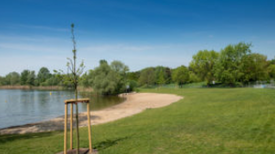 Die neue Badestelle am Spektesee. Bild: R. Salecker