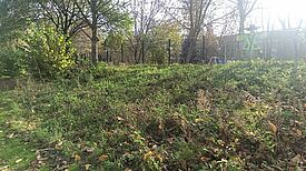 Die Streu- und Wildblumenwiese „Eichigelbienenvogelhörnchennest“ bietet einen Schutzraum für zahlreiche Tier- und Pflanzenarten. (Bild: QM Gropiusstadt Nord)