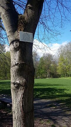 Der Volkspark Lichtenrade ist ein Beispiel für die Stadtnatur Berlins. (Bild: QM Nahariyastraße)