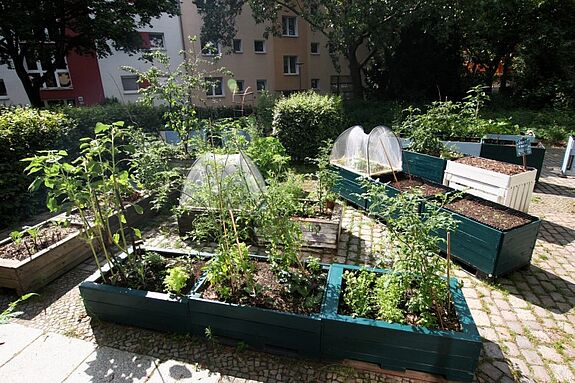 Mehrere Hochbeete stehen im Gemeinschaftsgarten des Vereins „Essbare Straße“.