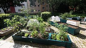 Mehrere Hochbeete stehen im Gemeinschaftsgarten des Vereins „Essbare Straße“.