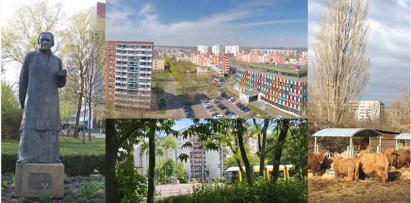 Der Stadtteil Marzahn NordWest ist bunt und vielseitig. Das zeigt auch die neue Broschüre. Bild: Ausschnitt Video „Bunter Stadtteil Marzahn NordWest - Quartiersmanagement 2010 bis 2020“, QM Marzahn NordWest 