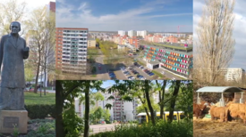 Der Stadtteil Marzahn NordWest ist bunt und vielseitig. Das zeigt auch die neue Broschüre. Bild: Ausschnitt Video „Bunter Stadtteil Marzahn NordWest - Quartiersmanagement 2010 bis 2020“, QM Marzahn NordWest 