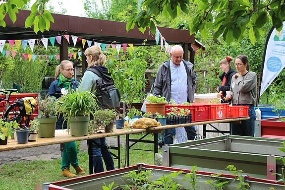 Mehrere Personen stehen bei der Samen- und Pflanztauschbörse hinter einem Tisch, auf dem Pflanzen stehen.