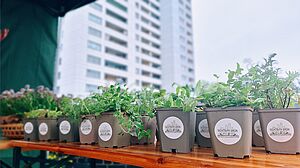 Mehrere Pflanztöpfe mit diversen grünen Pflanzen auf einer Bank, im Hintergrund ein Wohnhochhaus. Auf den Töpfen klebt ein Aufkleber mit dem Schriftzug „Sichtbar Grün“.