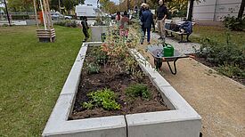 Frisch bepflanzte Hochbeete stehen am neuen Grünzug im Kosmosviertel.