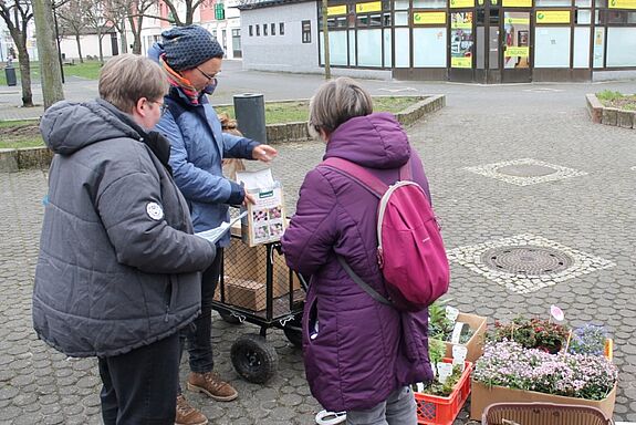 Eine große Auswahl an Blumen steht zum Einpflanzen bereit. (Bild: Julian Krischan)