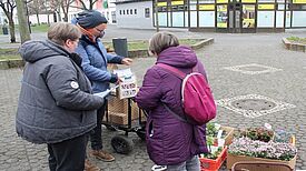 Eine große Auswahl an Blumen steht zum Einpflanzen bereit. (Bild: Julian Krischan)