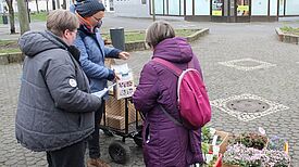 Eine große Auswahl an Blumen steht zum Einpflanzen bereit. (Bild: Julian Krischan)