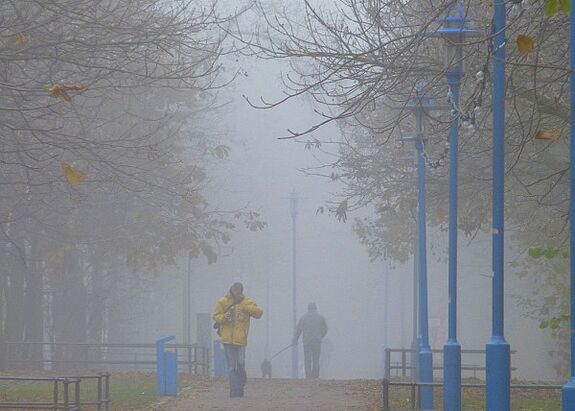 Der Boulevard von Nebel eingehüllt. Bild: Gudrun Zerbe
