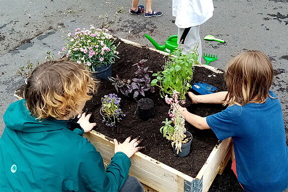 Die Kinder setzen die Pflanzen vorsichtig in die Erde ein. Bild: QM Wassertorplatz.