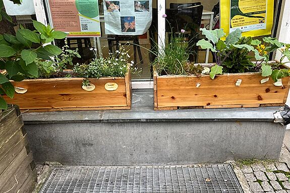 Die Beispiele zeigen, wie man Balkonkästen ökologisch sinnvoll und bienenfreundlich bepflanzen kann. (Bild: QM Glasower Straße)