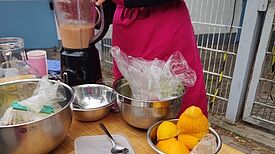 Eine Person mit pinker Schürze steht an einem Tisch im Freien, mixt Obst in einem Mixer; auf dem Tisch liegen ausgepresste Zitronenhälften, Schalen, Behälter und ein Handentsafter bereit.