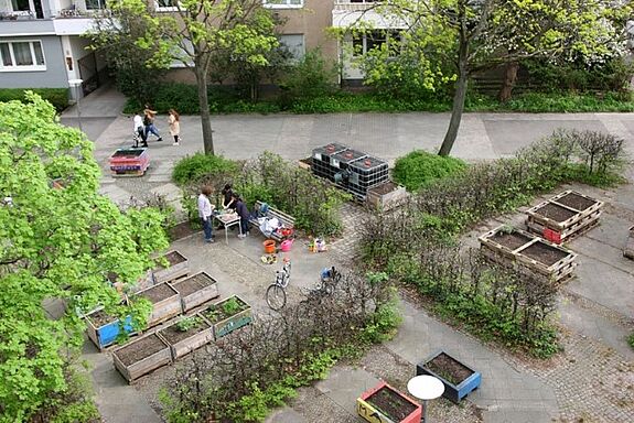 Das Projekt „Die Essbare Straße“ verwandelt städtischen Raum in blühende Gemeinschaftsgärten. (Bild: QM Brunnenstraße)