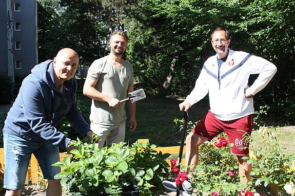 Die drei Pechsteingärtner Mario Kübler, Dariusz Sieron und Azzedine Benahrail (v.l.n.r.) arbeiten gemeinsam an Mario Küblers Beet. (Bild: Gerald Backhaus) 