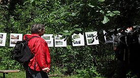 Viel zu tun: Der „Kids Garden“ vor der Neugestaltung Foto: Grün für Kinder e.V.