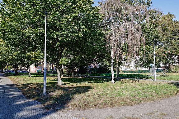 Eine Grünfläche mit Bäumen und Laternen im Rosengarten, der für die geplante Neugestaltung vorbereitet wird.