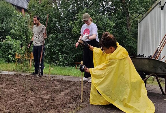 Drei Personen arbeiten an einem Beet im Freien, eine Person steckt Markierungen in den Boden.