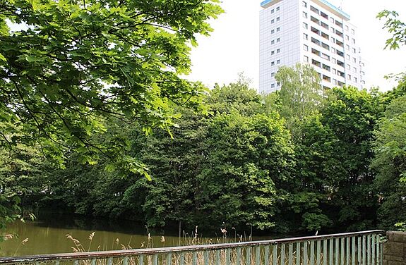 Seit seinem Bestehen hat sich rund um den Stangenpfuhl eine üppige Vegetation gebildet. (Bild: QM Thermometersiedlung)