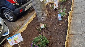 Eine frisch bepflanzte, mit Holzkante eingefasste Baumscheibe am Straßenrand ist mit bunten Blumen und selbstgemalten Hinweisschildern von Kindern zum Thema Umweltschutz und Sauberkeit gestaltet.