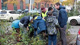 Über 200 Blumenzwiebeln wurden gepflanzt. Bild: Gruppe F, QM Brunnenviertel/Ackerstraße 