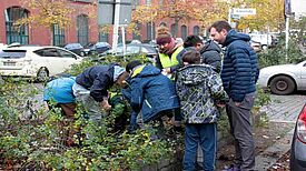 Über 200 Blumenzwiebeln wurden gepflanzt. Bild: Gruppe F, QM Brunnenviertel/Ackerstraße 