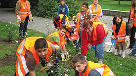 Pflanzaktion in der Nachbarschaft Foto: QM Dammwegsiedlung / Weiße Siedlung