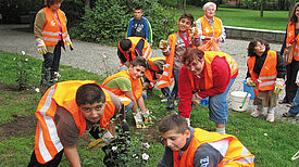 Pflanzaktion in der Nachbarschaft Foto: QM Dammwegsiedlung / Weiße Siedlung